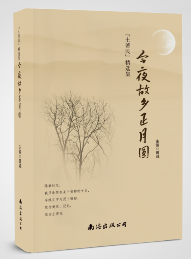 今夜故乡正月圆